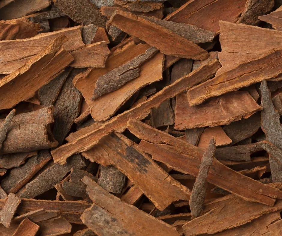 Broken Cinnamon (KABC)